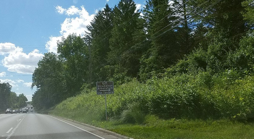 Stranahan Arboretum, United States